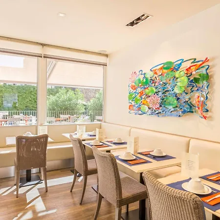 Western Matisse Sainte-Maxime