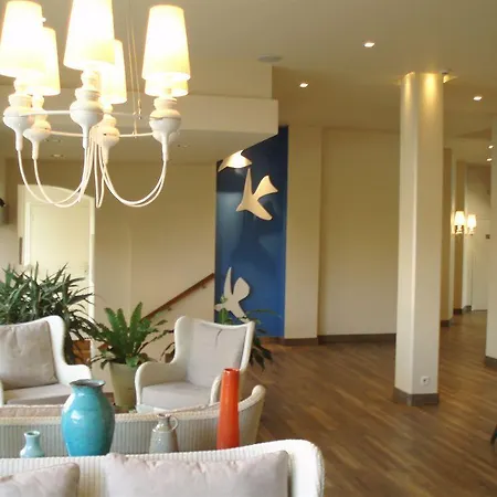 Western Matisse 3*